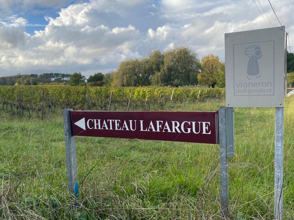 vins-pessac-leognan-vin-pessac-leognan-chateau-lafargue-visite-chai-chais-vigne-vignes-vignoble-vin-blanc-vin-rouge-grand-cru-classe-de-graves-33
