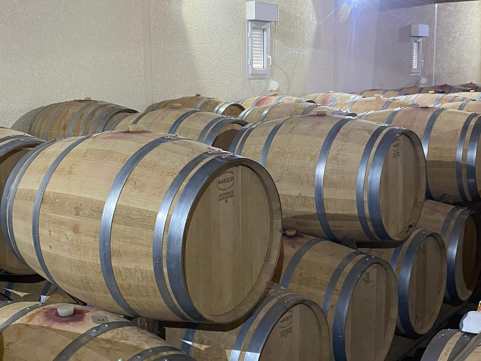 vins-pessac-leognan-vin-pessac-leognan-chateau-le-bruilleau-visite-chai-chais-vigne-vignes-vignoble-vin-blanc-vin-rouge-10