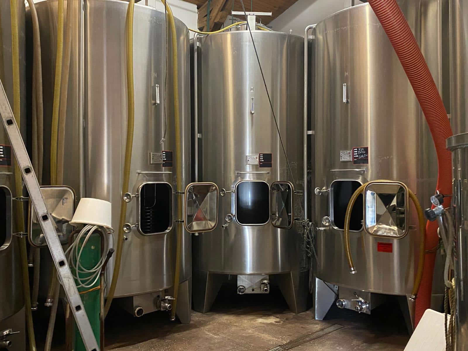 vins-pessac-leognan-vin-pessac-leognan-chateau-le-bruilleau-visite-chai-chais-vigne-vignes-vignoble-vin-blanc-vin-rouge-15