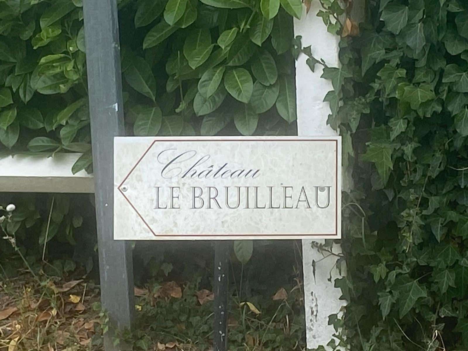 vins-pessac-leognan-vin-pessac-leognan-chateau-le-bruilleau-visite-chai-chais-vigne-vignes-vignoble-vin-blanc-vin-rouge-36