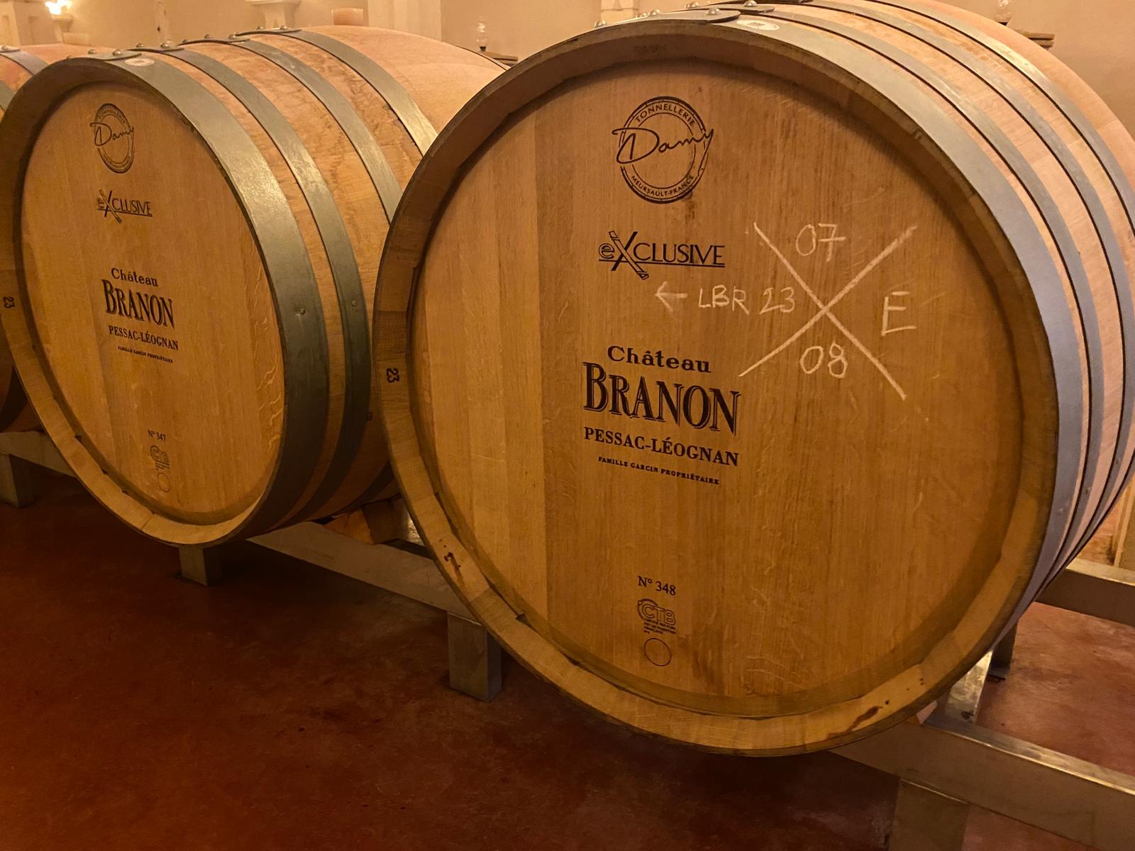 vins-pessac-leognan-vin-pessac-leognan-chateau-branon-visite-chai-chais-vigne-vignes-vignoble-vin-blanc-vin-rouge-viticulture-vin-bio-biodynamie-5