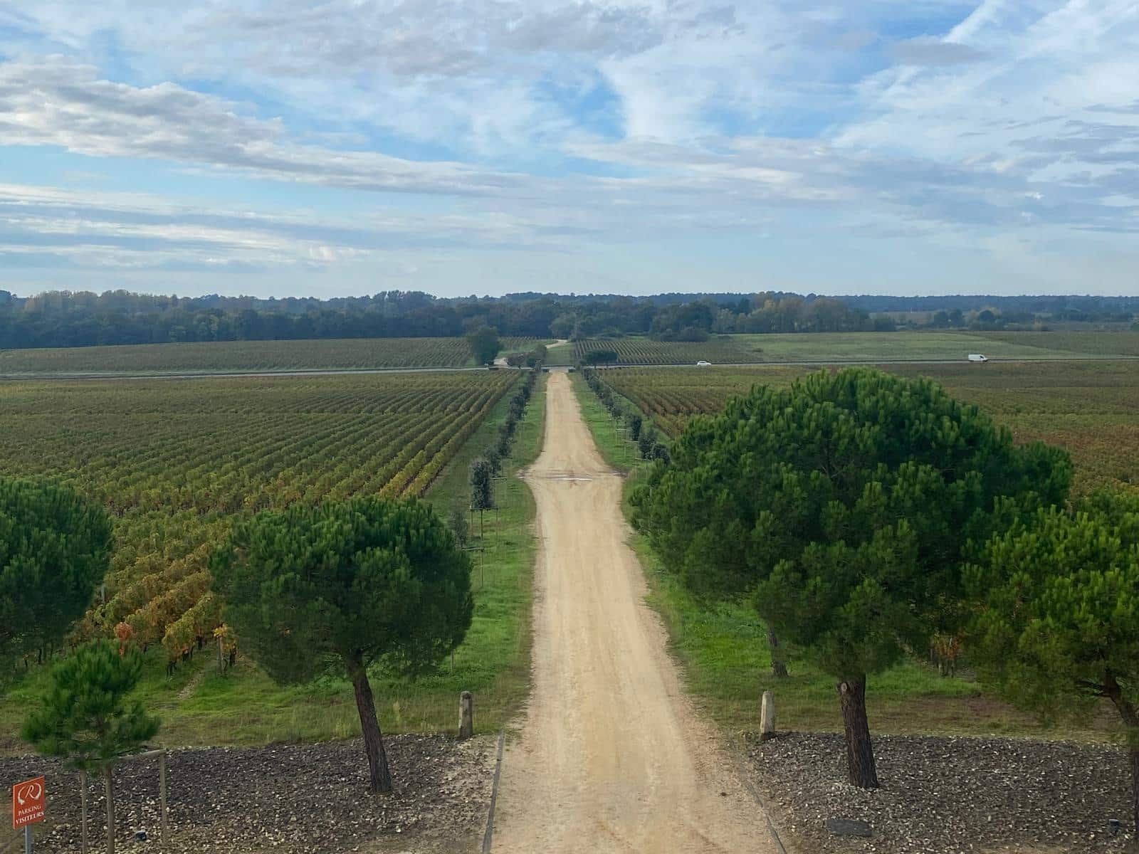 l-apprenti-sommelier-vins-pessac-leognan-vin-pessac-leognan-chateau-de-rochemorin-visite-chai-chais-vigne-vignes-vignoble-vin-blanc-vin-rouge-11