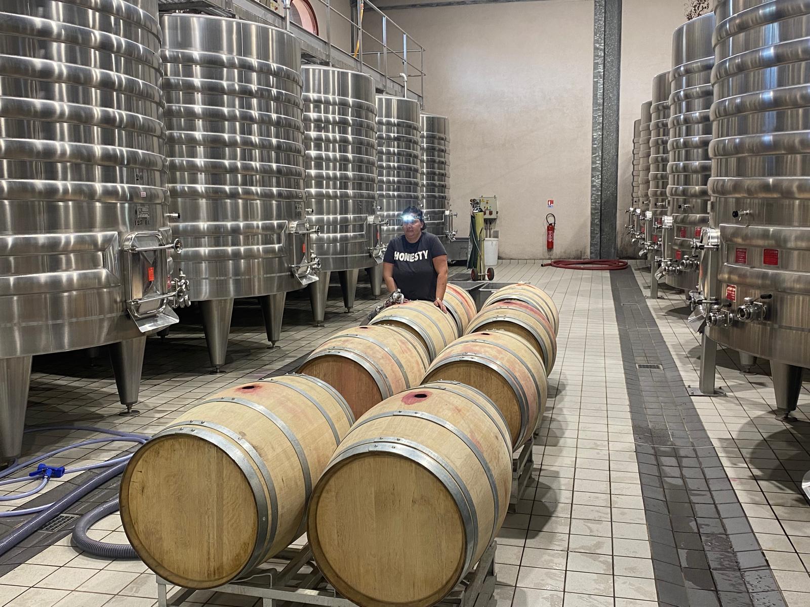 l-apprenti-sommelier-vins-pessac-leognan-vin-pessac-leognan-chateau-de-rochemorin-visite-chai-chais-vigne-vignes-vignoble-vin-blanc-vin-rouge-25