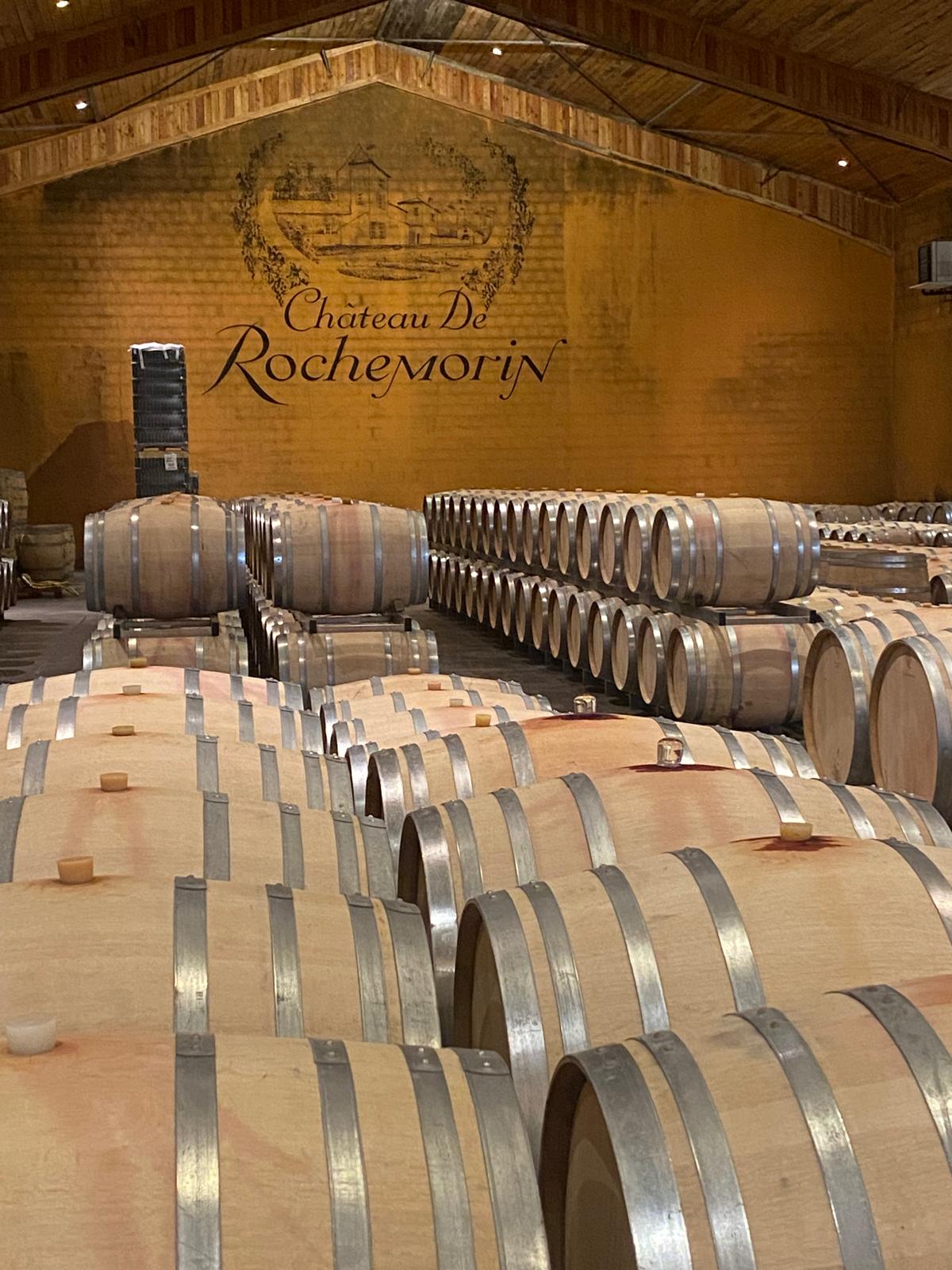 l-apprenti-sommelier-vins-pessac-leognan-vin-pessac-leognan-chateau-de-rochemorin-visite-chai-chais-vigne-vignes-vignoble-vin-blanc-vin-rouge-29