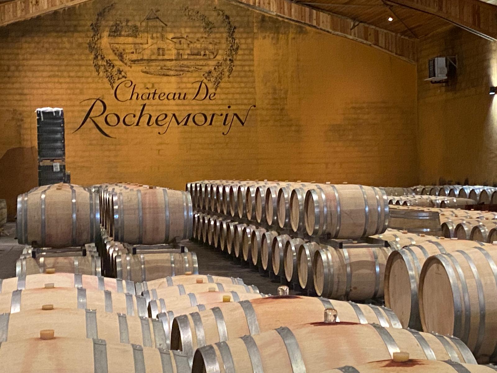 l-apprenti-sommelier-vins-pessac-leognan-vin-pessac-leognan-chateau-de-rochemorin-visite-chai-chais-vigne-vignes-vignoble-vin-blanc-vin-rouge-30