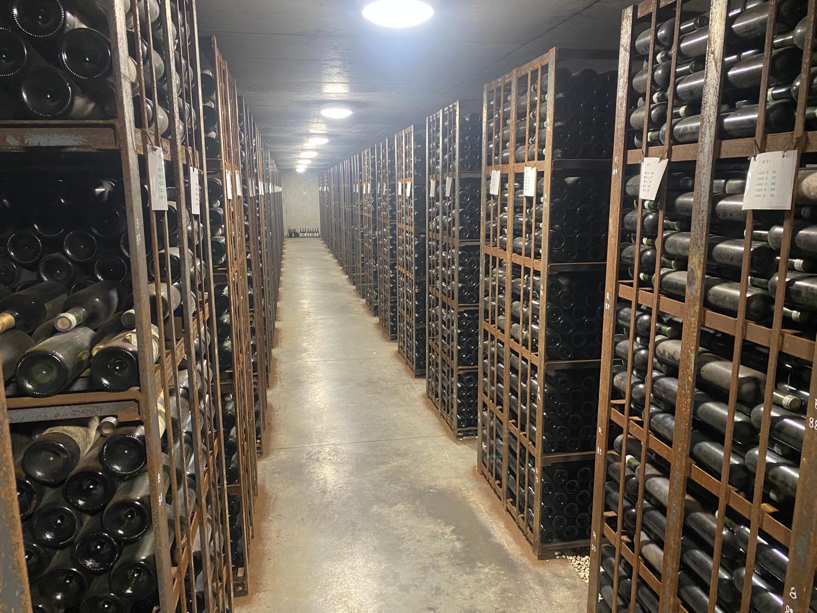 l-apprenti-sommelier-vins-pessac-leognan-vin-pessac-leognan-chateau-de-rochemorin-visite-chai-chais-vigne-vignes-vignoble-vin-blanc-vin-rouge-40
