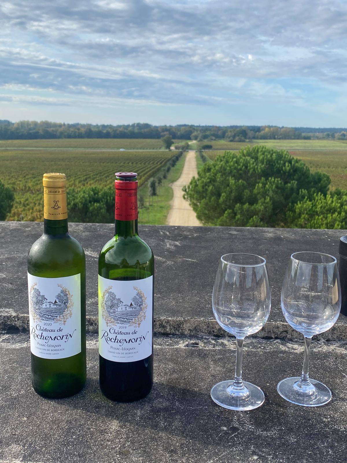 l-apprenti-sommelier-vins-pessac-leognan-vin-pessac-leognan-chateau-de-rochemorin-visite-chai-chais-vigne-vignes-vignoble-vin-blanc-vin-rouge-46
